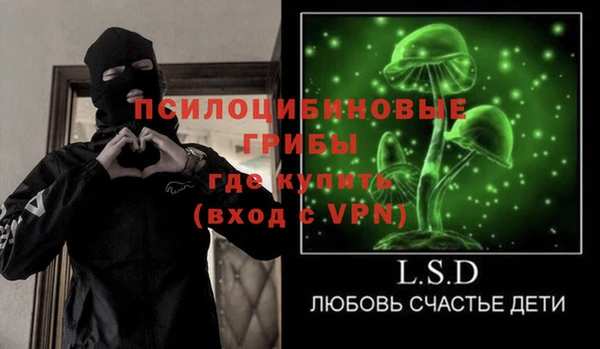 дживик Баксан