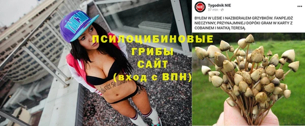 дживик Баксан